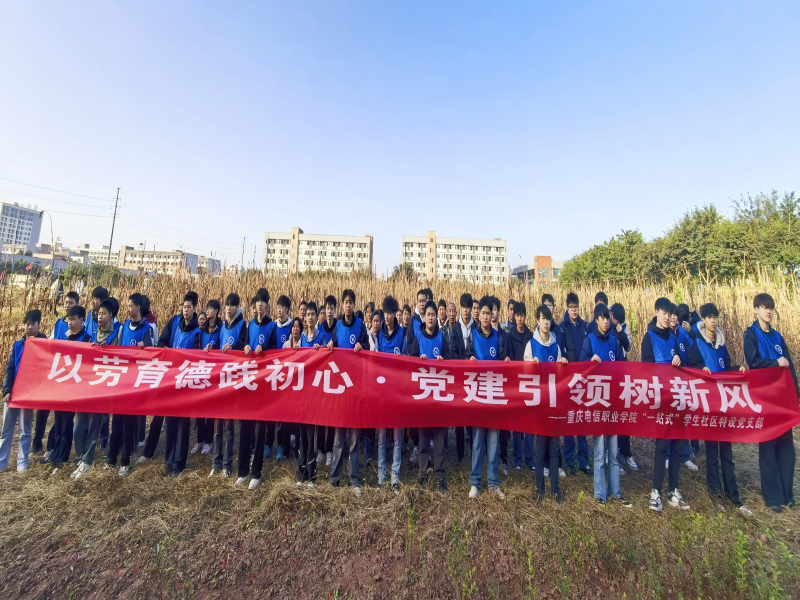 ZhcB_1764747142189048179.png 图片3.png